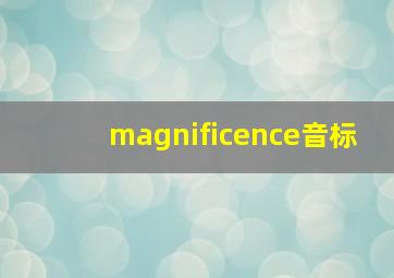 magnificence音标