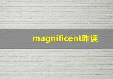 magnificent咋读