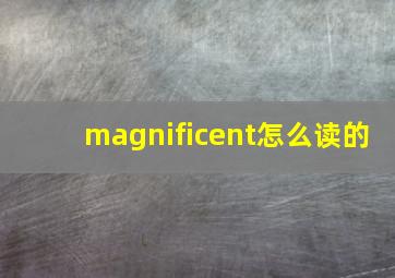 magnificent怎么读的