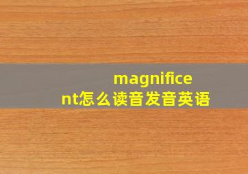 magnificent怎么读音发音英语