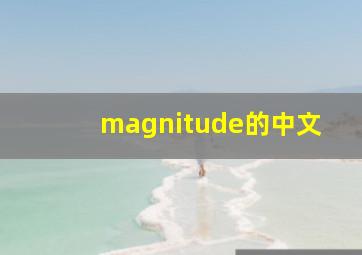 magnitude的中文