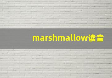 marshmallow读音