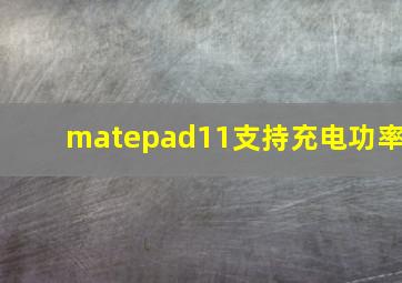 matepad11支持充电功率