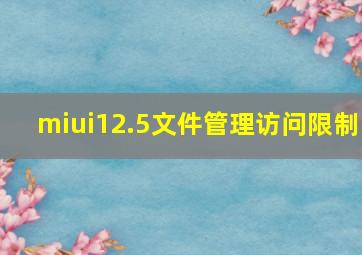 miui12.5文件管理访问限制