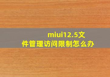 miui12.5文件管理访问限制怎么办