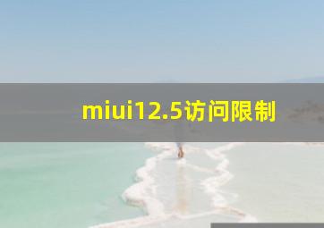 miui12.5访问限制