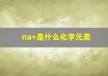 na+是什么化学元素