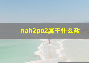 nah2po2属于什么盐