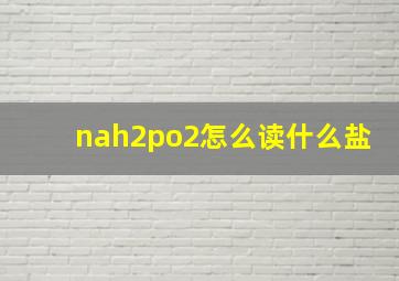 nah2po2怎么读什么盐