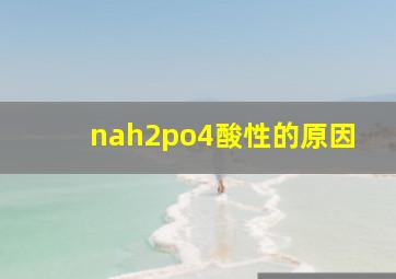 nah2po4酸性的原因