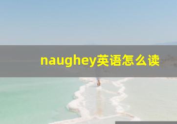 naughey英语怎么读