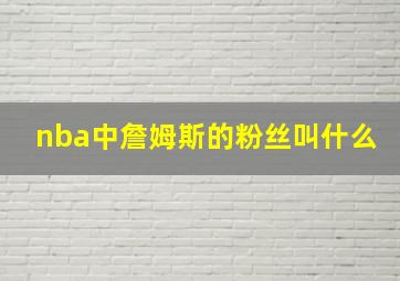 nba中詹姆斯的粉丝叫什么