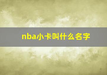 nba小卡叫什么名字