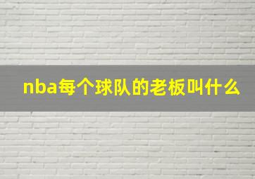 nba每个球队的老板叫什么