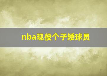 nba现役个子矮球员