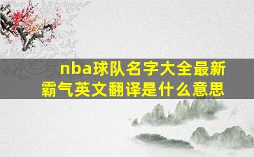 nba球队名字大全最新霸气英文翻译是什么意思