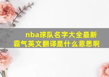 nba球队名字大全最新霸气英文翻译是什么意思啊