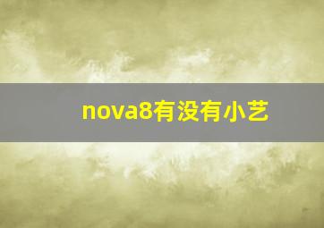 nova8有没有小艺