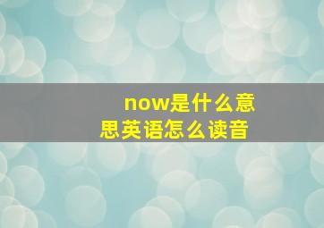 now是什么意思英语怎么读音