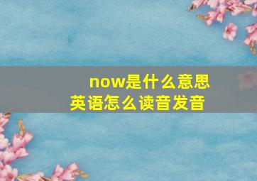 now是什么意思英语怎么读音发音