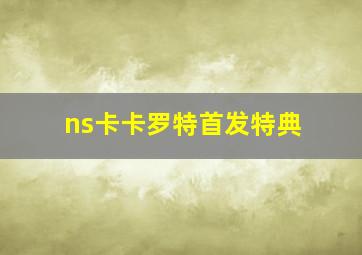 ns卡卡罗特首发特典