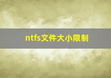 ntfs文件大小限制