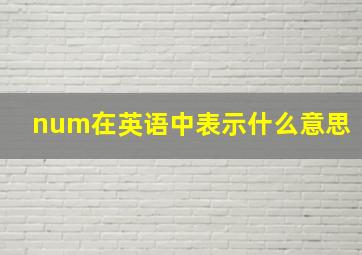 num在英语中表示什么意思