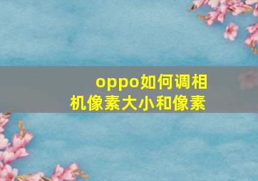 oppo如何调相机像素大小和像素