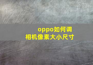 oppo如何调相机像素大小尺寸