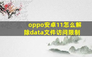 oppo安卓11怎么解除data文件访问限制