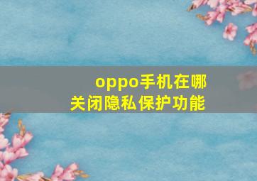 oppo手机在哪关闭隐私保护功能