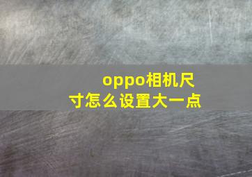 oppo相机尺寸怎么设置大一点