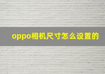 oppo相机尺寸怎么设置的