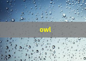 owl