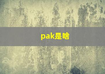 pak是啥