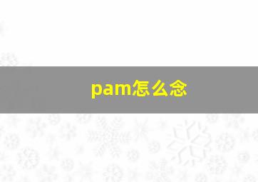 pam怎么念