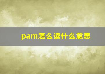 pam怎么读什么意思