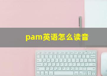 pam英语怎么读音