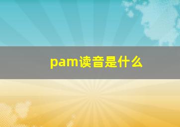 pam读音是什么