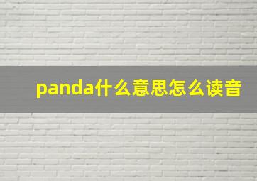 panda什么意思怎么读音