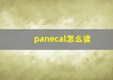 panecal怎么读