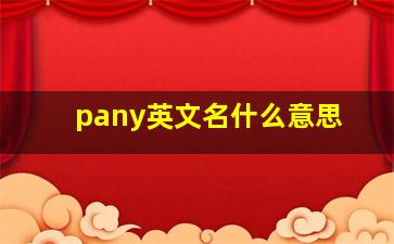 pany英文名什么意思