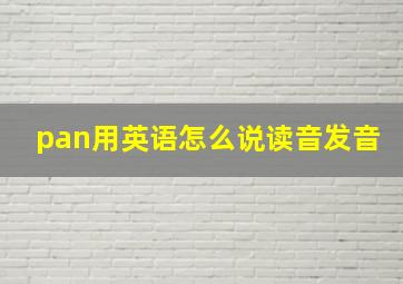 pan用英语怎么说读音发音