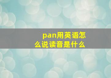 pan用英语怎么说读音是什么