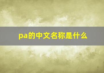 pa的中文名称是什么