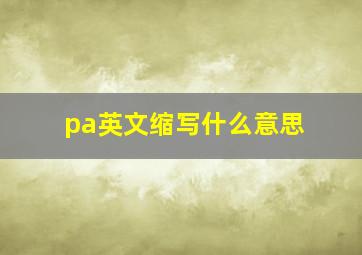 pa英文缩写什么意思