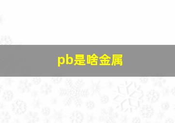 pb是啥金属