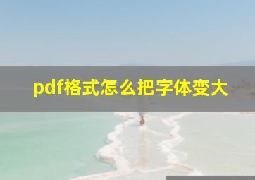 pdf格式怎么把字体变大