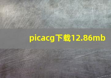 picacg下载12.86mb