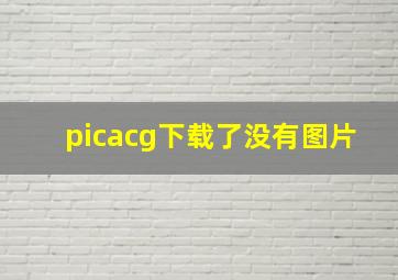 picacg下载了没有图片